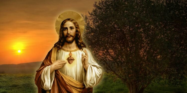 त्यो मानिस नै धन्य छ, जसले बुद्धि र विवेक प्राप्त गर्दछ –ईसा मसिह