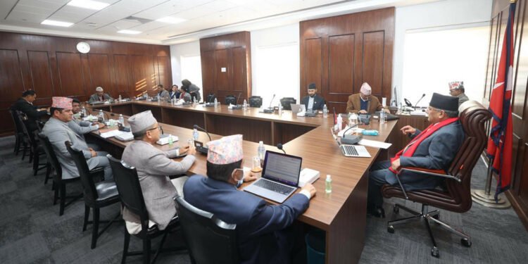 आत्मदाह गरेका आचार्यले उठाएका विषयबारे छानबिन गर्ने सरकारको निर्णय