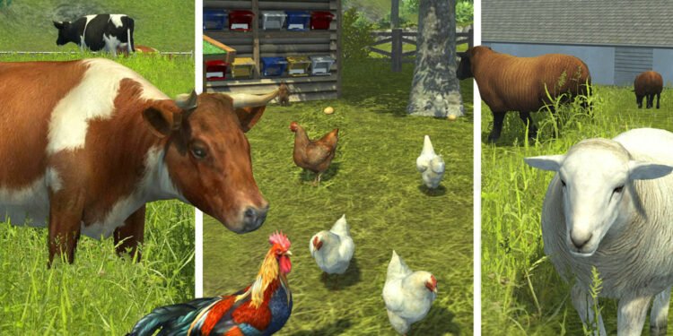 पशु बीमा कार्यक्रम प्रभावकारी बन्दै