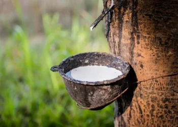 उर्जा सङ्कटका कारण श्रीलङ्काको रबर निर्यातमा कमी