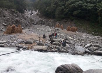 दार्चुलामा तुइनबाट खसेर ६४ वर्षमा ६३ जनाको मृत्यु