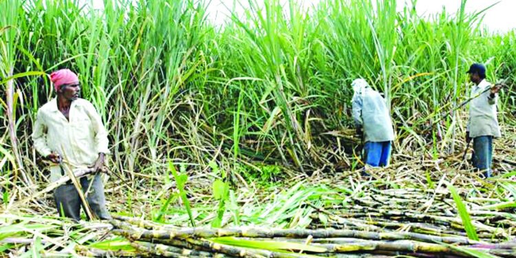 उखु किसान आन्दोलित