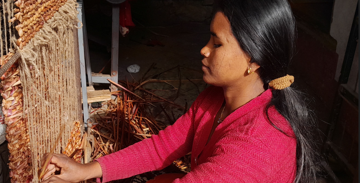 अलैँचीको रेसाबाट सुकुल बुन्दै