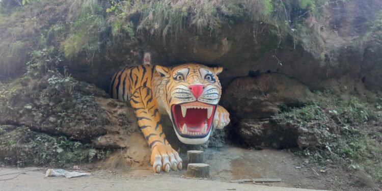 कालीगण्डकी किनारमा पर्यटकलाई लोभ्याउँदै बाघको मूर्ति