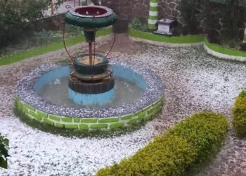 असिनापानीले तरकारी वालीमा क्षति