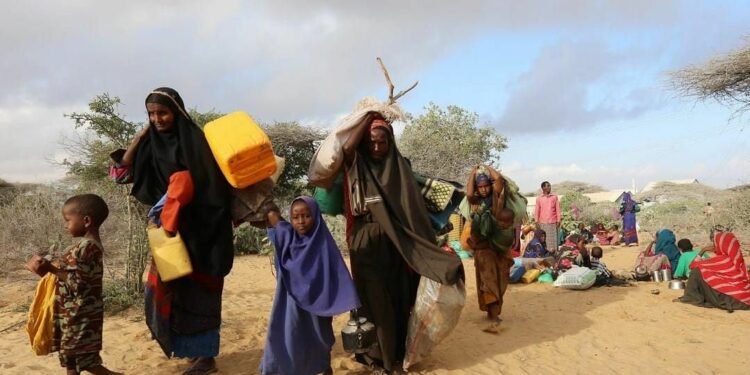 हजारौँ सोमालीहरू द्वन्द्वका कारण इथियोपिया पलायन