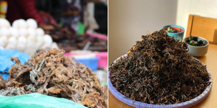 व्यावसायिकरूपमा मस्यौरा र गुन्द्रुक उत्पादन सुरु