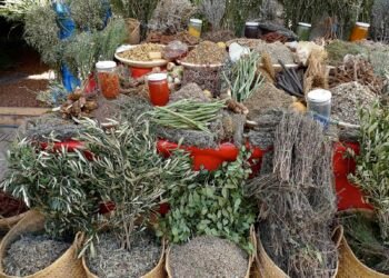 हेल्थ टिप्सः नीरमसीको औषधीय महत्व