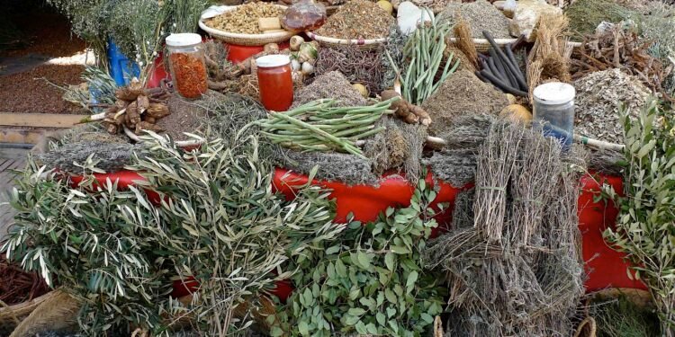 हेल्थ टिप्सः नीरमसीको औषधीय महत्व