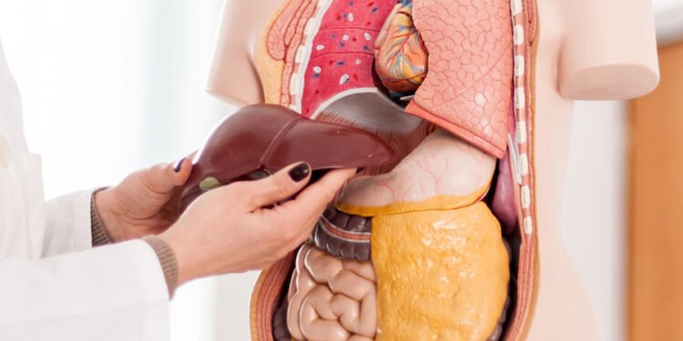 कलेजो खराब भएमा यी ७ लक्षणहरु देखिन सक्छन्