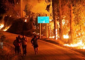 चिलीको जङ्गलमा लागेको डढेलोमा २३ जनाको मृत्यु