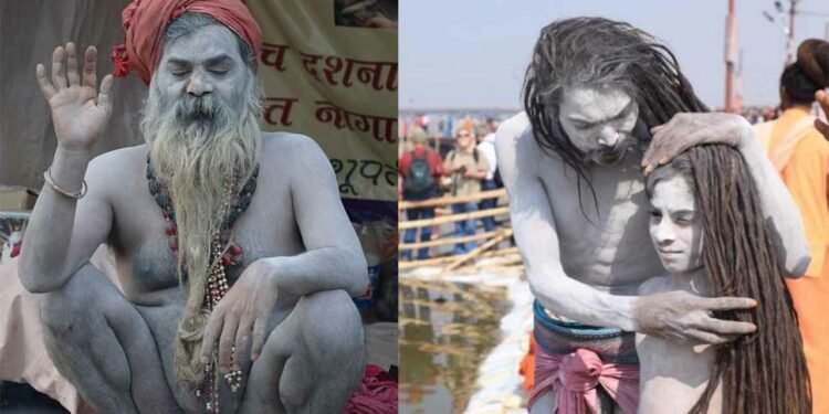 नागा साधुबारे सामान्य जानकारीः नागा बन्न झन्डै १२ बर्षसम्म मेहनत र बिभिन्न परिक्षा पास