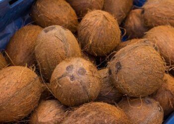 हेल्थ टिप्सः नरिवलको औषधीय महत्व