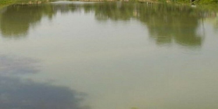 वनभित्र संरक्षण पोखरी निर्माण