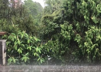 वर्षा नभएपछि किसान चिन्तित