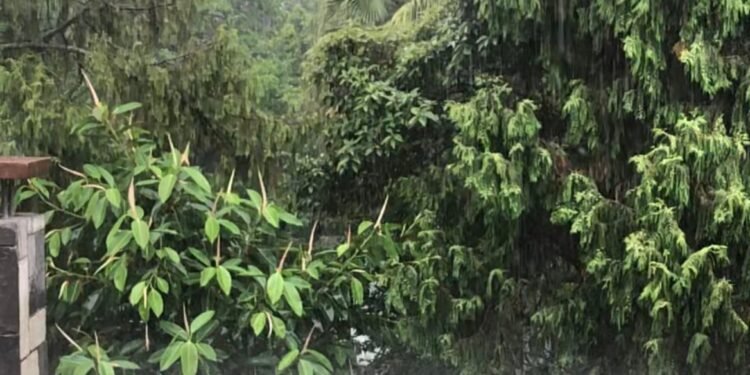 वर्षा नभएपछि किसान चिन्तित