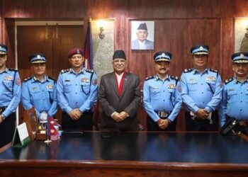 पाँच एआइजीलाई दज्र्यानी चिह्न प्रदान