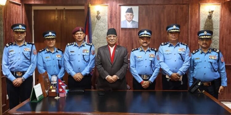 पाँच एआइजीलाई दज्र्यानी चिह्न प्रदान