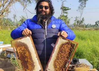 मौरीपालनले दिन्छ राम्रो आम्दानी