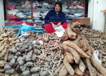 पर्व विशेषको परिकार तरुलको महत्व