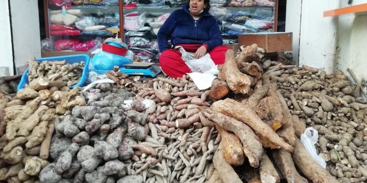 पर्व विशेषको परिकार तरुलको महत्व