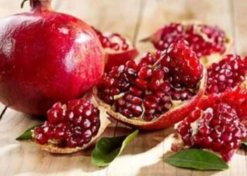 हेल्थ टिप्सः अनार खानु फाइदै फाइदा