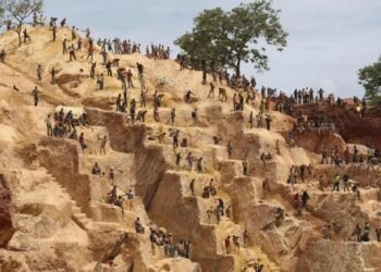 मध्य अफ्रिकी गणतन्त्रमा नौ जना चिनियाँ नागरिकको हत्या