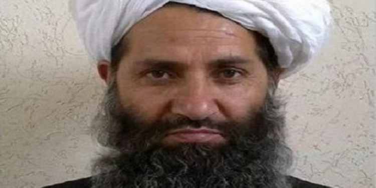 तालिवान सरकारद्वारा उच्च पदस्थ व्यक्तिका आफन्तलाई सरकारी पदबाट हट्न आदेश