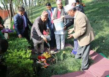 राष्ट्रपति पौडेलद्वारा वनकालीमा वृक्षरोपण