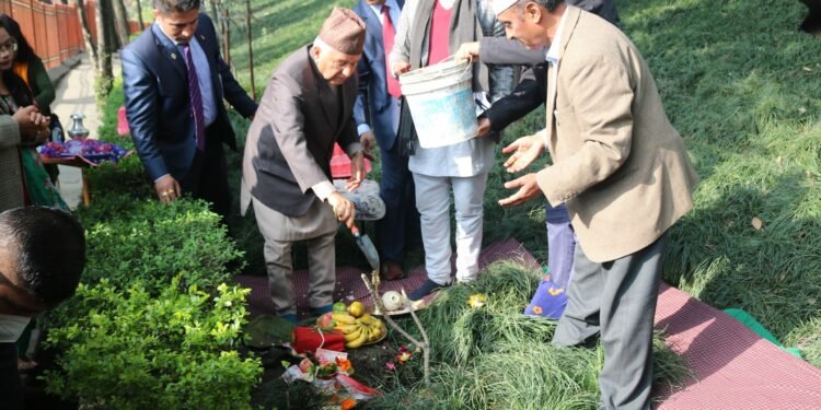 राष्ट्रपति पौडेलद्वारा वनकालीमा वृक्षरोपण