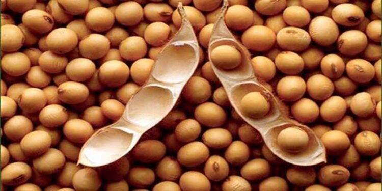 हेल्थ टिप्सः भटमास खानुको फाइदा