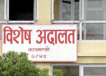 अनुदानको मकैको बिउमा भ्रष्टाचार