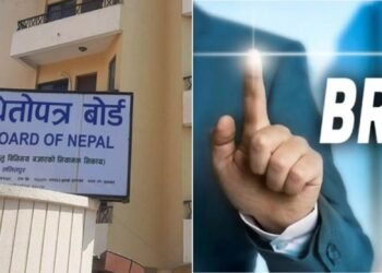 सेयर ब्रोकरका २० शाखा खोल्न अनुमति