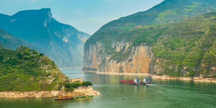 चीनले दुर्लभ माछाको संरक्षण गर्दै, याङत्से नदीमा दुई लाख माछा छोड्ने