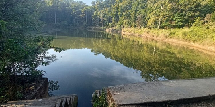 आन्तरिक पर्यटक तान्दै चरिङ्गे दह