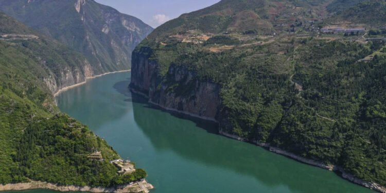 २३ हजार चिनियाँ स्टर्जन याङ्ग्जी नदीमा छोडियो