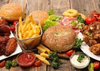 हेल्थ टिप्सः होस पु-याउनुहोस् जङ्कफुडको सेवनले मन्दबुद्धि हुने खतरा बढाउँछ