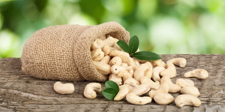 काजु एक फाइदा अनेक, यसरी खानुस् काजु