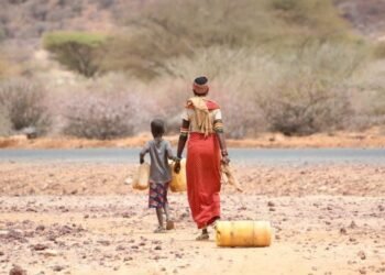 संकटको डिलमा केन्याः खडेरीले लाखौँ पशुचौपाया सखाप