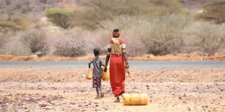 संकटको डिलमा केन्याः खडेरीले लाखौँ पशुचौपाया सखाप