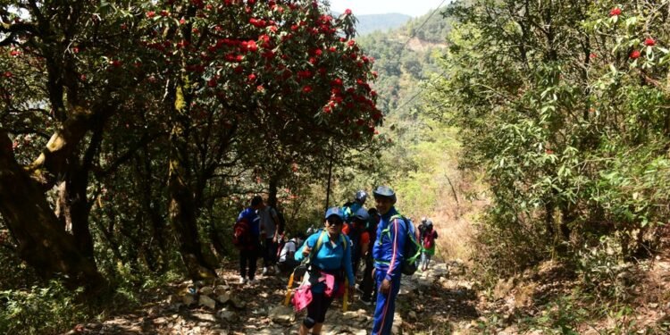 लालीगुराँसले राताम्य सोलेडाँडामा पर्यटकको चहलपहल
