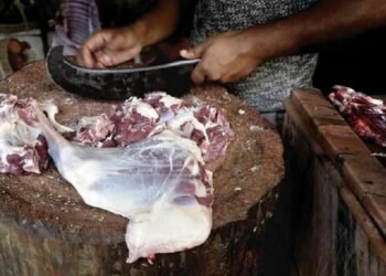 स्वास्थ्य परीक्षण नगरी पशुवधः अस्वस्थकर मासु खुवाउँदै काठमाडौं महानगर