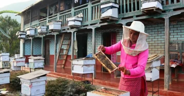 मौरीमा आत्मनिर्भर बन्दै मालारानीका कृषक