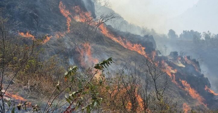 पाल्पाका २७ वडा डढेलोको उच्च जोखिममा