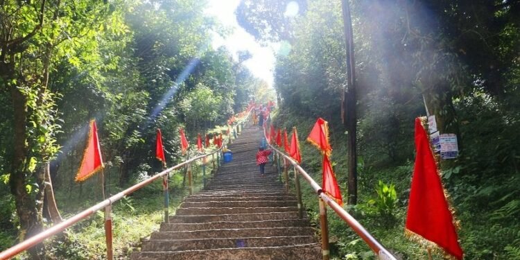 धातुजन्य किला ठोक्दा पाथीभरा क्षेत्रका बोटबिरुवा नासिँदै