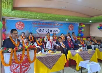 एफएनसीसीआईलाई सबै तहका उद्योगी र व्यवसायीको पहुँचमा पुर्याउँछुः अन्जन श्रेष्ठ