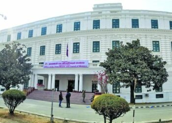 अन्ततः पछि हट्यो सरकार, रासायनिक मलमा दिँदै आएको अनुदान यथावत राख्ने निर्णय