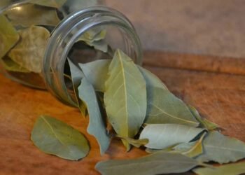 तेजपत्ताका फाइदा