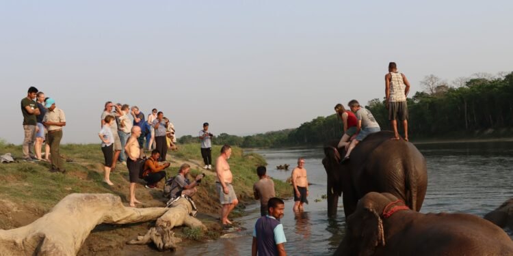 पर्यटकको रोजाइ बन्दै पटिहानी