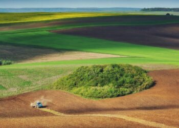 युक्रेनले सन् २०२३ मा चार करोड ५० लाख टन खाद्यान्न उत्पादन गर्ने